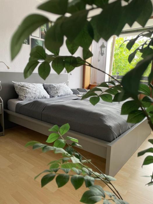 Ferienwohnung in Freudenstadt-Kniebis II