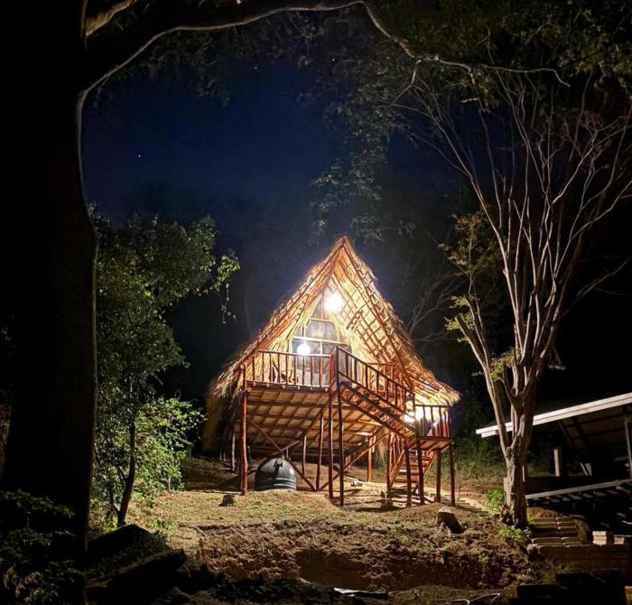 Itsalifestyle Jungle Cabana