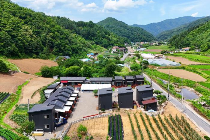 Gapyeong Maid Spa Pension N Pool Pension