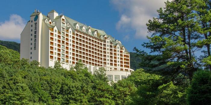 Yangji Pine Resort