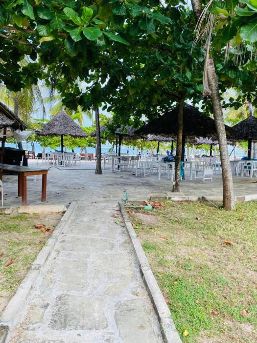 Golden Sun-Fisherhut