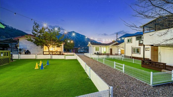 Danyang Machu Picchu Dog Garden