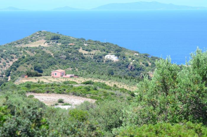 Villetta Olivia Casa in collina vista mare