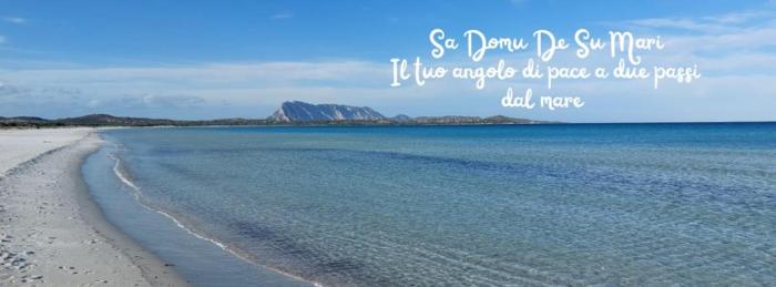 Sa Domu de Su Mari