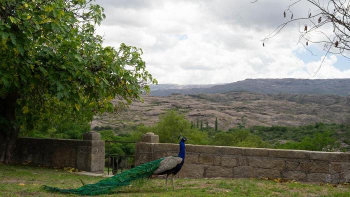 Estancia Santa María de las Casas Viejas