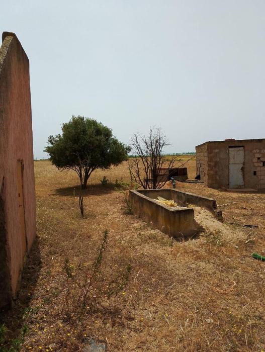 la maison du belmokhtar Mansour