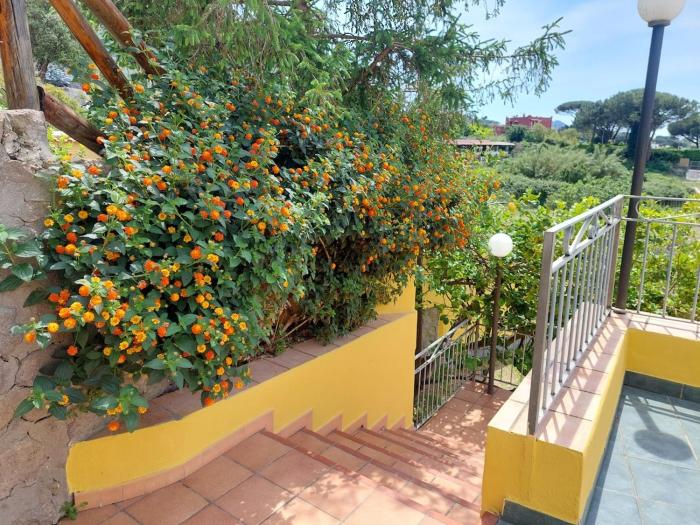 Il Mandarinetto House