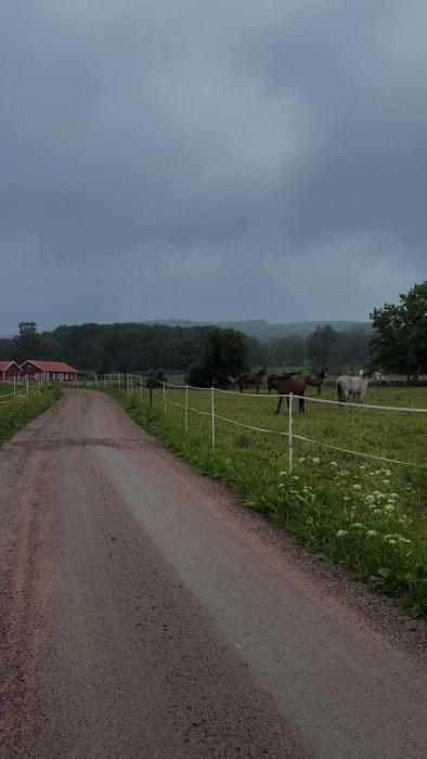 Bäckagården - self catering - självhushåll