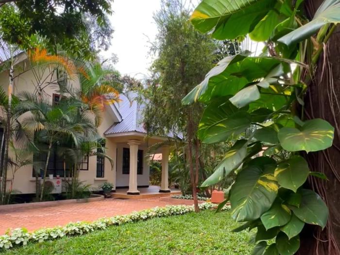 Kilimanjaro Volunteers