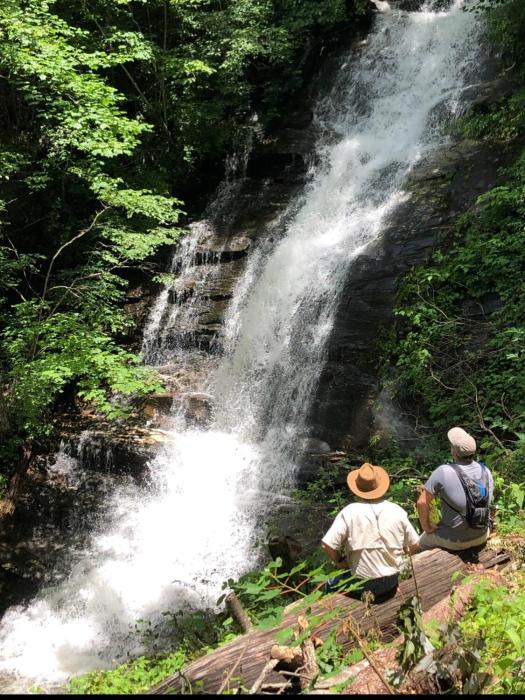 Waterfall Overlook at Bearfoot Falls