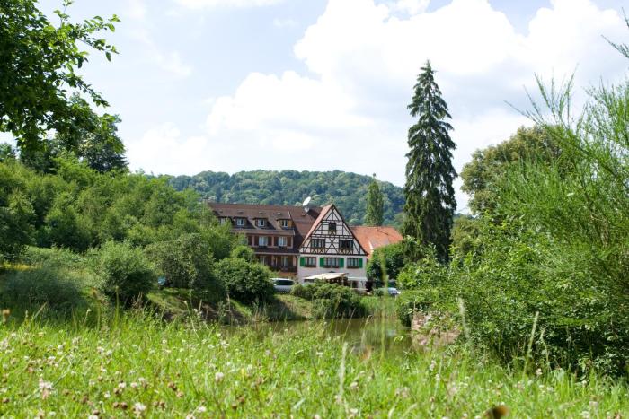 Logis Hôtel-Restaurant Auberge dImsthal