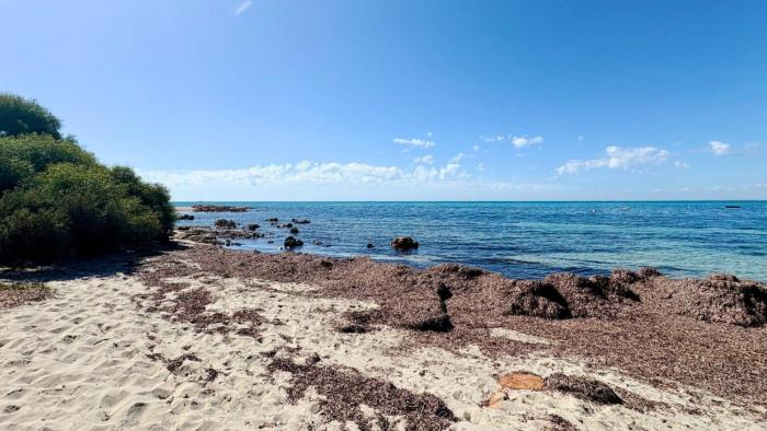 Zennor House - Busselton