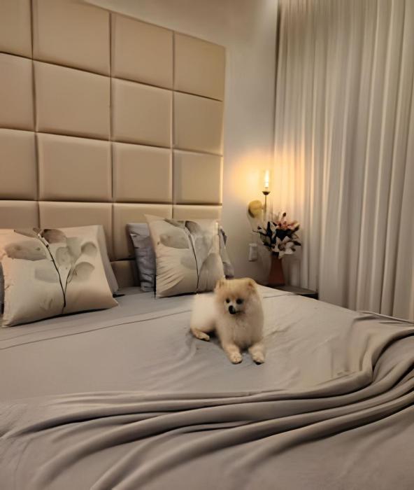 Lux Flamboyant - Marylebone