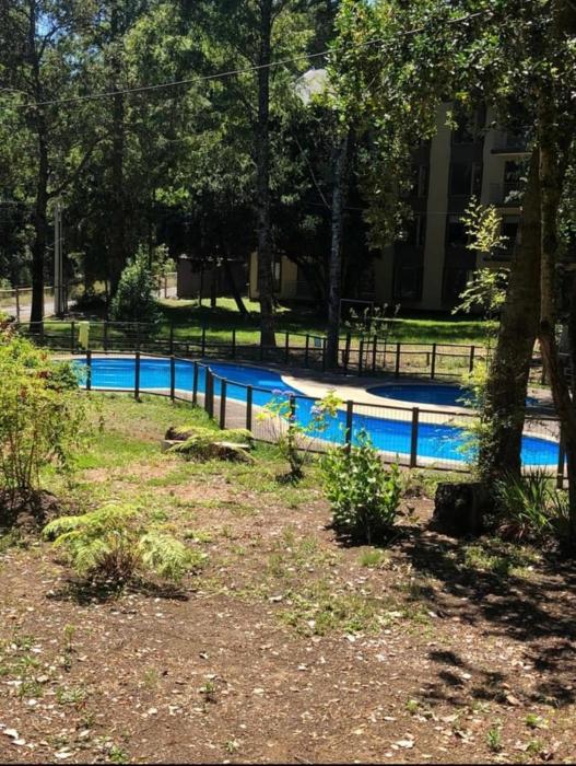 Nice and comfortable apartment in Pucon