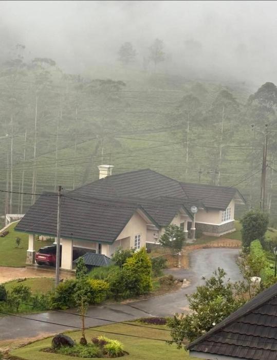 The Eight at Willows