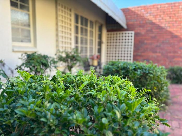 Load shedding free studio apartment