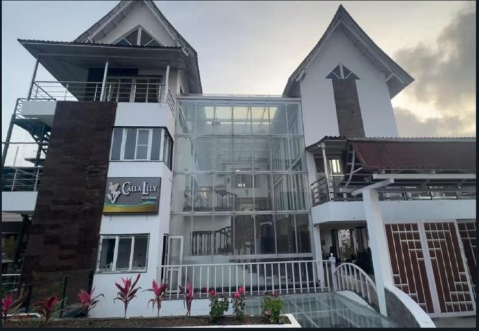 Calla Lily By The Brook