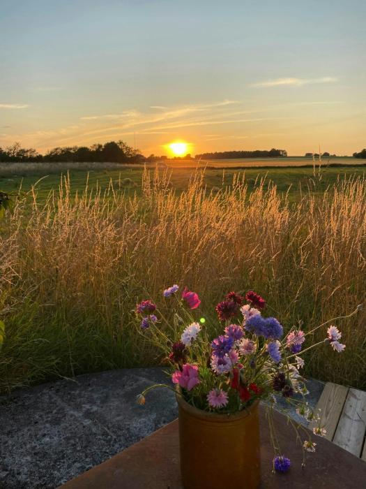 Countryside Estate By Almindingen Bornholm