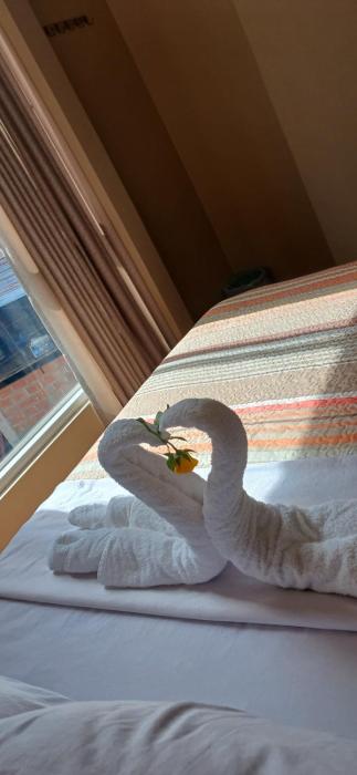 Haylli Café Oro Hotel