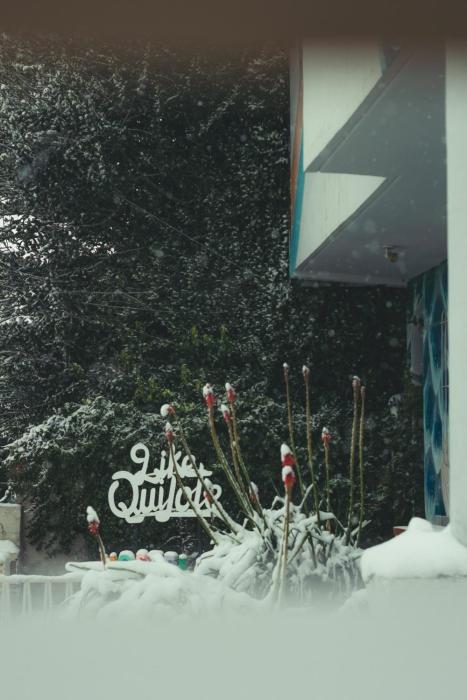 Hostel Like Quijote