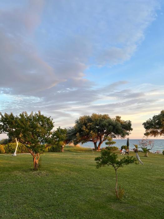 Physis Seaside Living