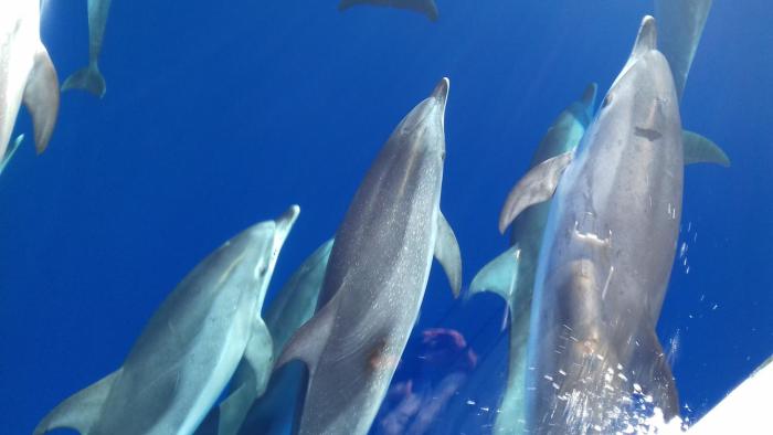 PANORAMA, 100m from the water, rebuild 2020, penthouse, 2 teracces, modern