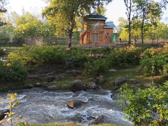 Forest Cabin Stay in Doodpathri - Perfect for Couples, Bonfire, BBQ