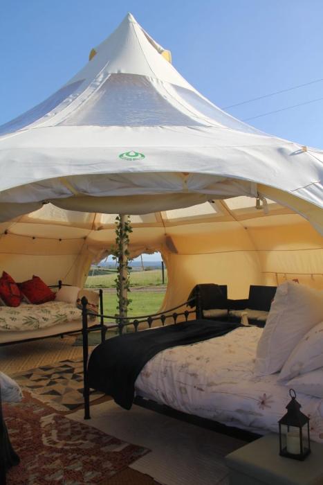 Tal-y-fan farm 6m stargazer tent