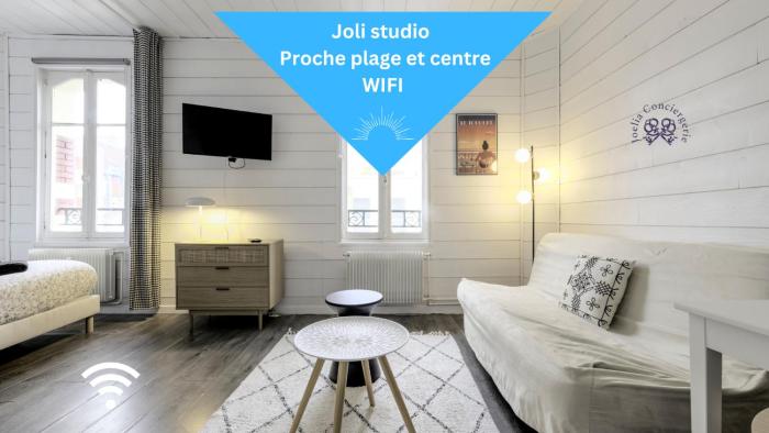 Joli studio plein centre proche plage avec Wi-fi