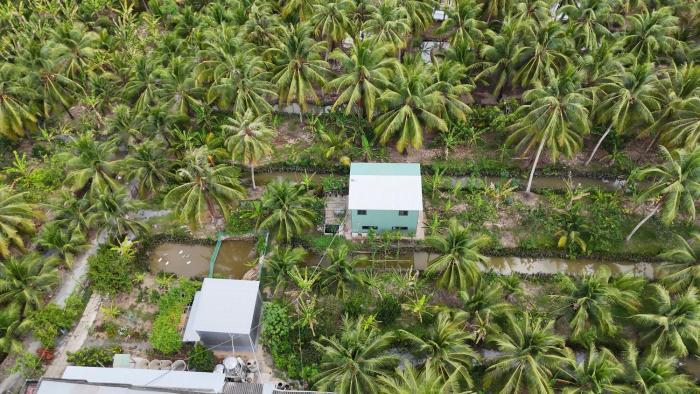 Coco Happy Farm