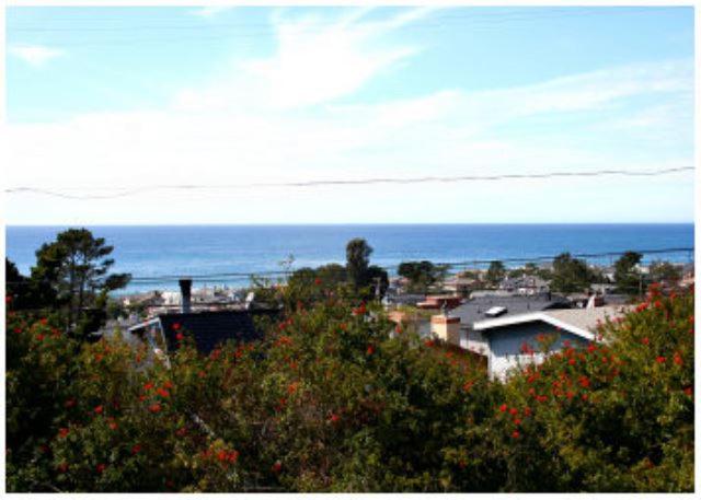 Snug Harbor-Spring Special