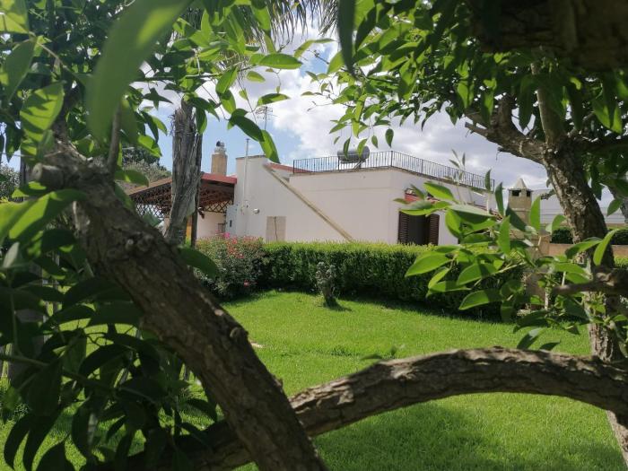 Villa in a lovely olive grove 10 minutes from the sea Ada residence