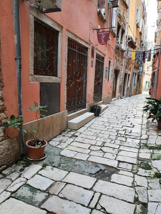 Apartments and rooms by the sea Rovinj - 24536