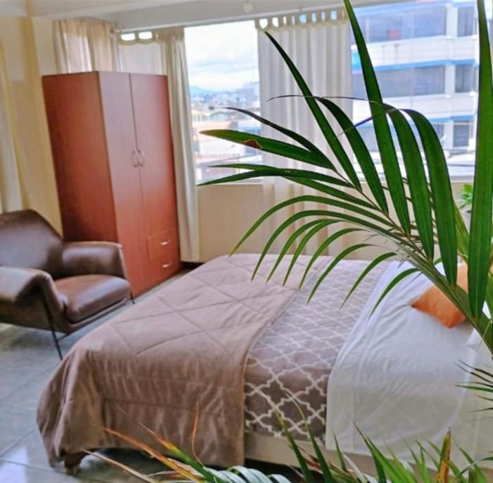 centrico departamento