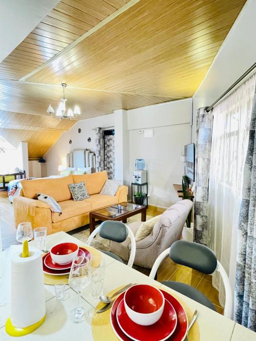 Penthouse Studio Apartment