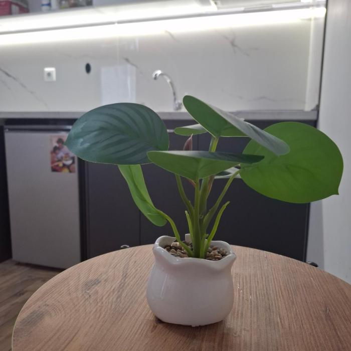 Отличен Двустаен Апартамент