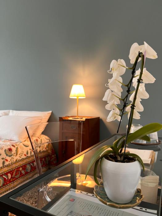 Affittacamere Sorighittu