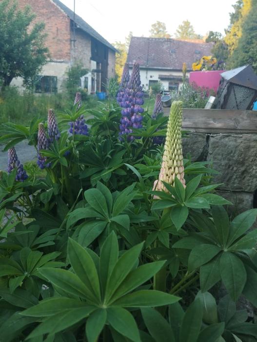 Pokoj s balkónem ve vesnickém stavení v Oboře u Doks