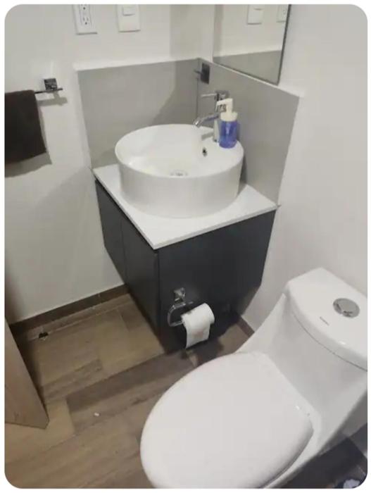 Encantador departamento en el corazón de la CDMX