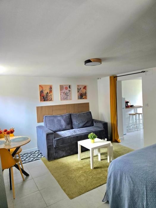 Grand studio cosy proche Paris