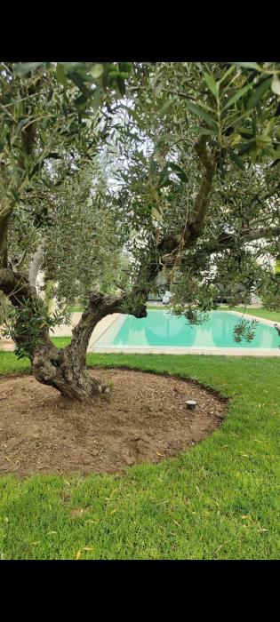 Villa tante Anna