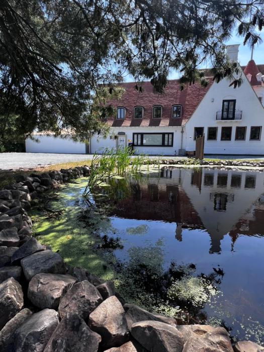 The Cotton Suites B&B