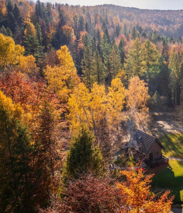 Domek w lesie DiABELSKi KOCiOŁEK