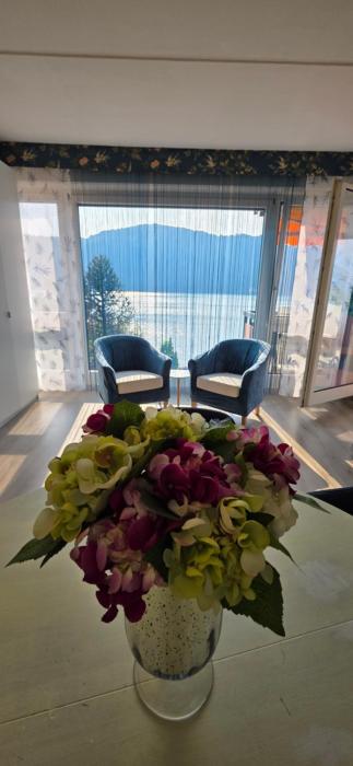 Panoramic View Frontal Apartment