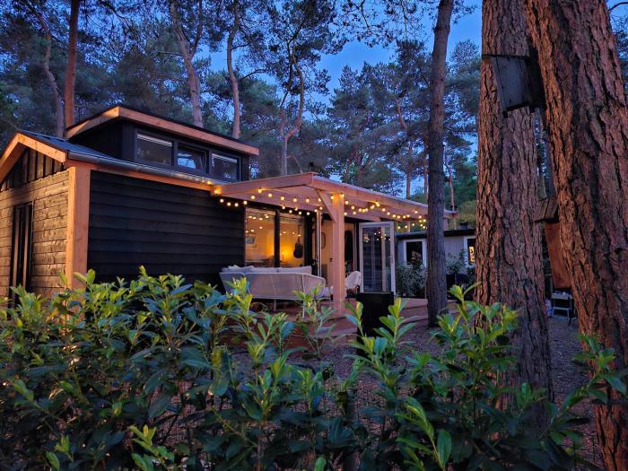Thuisje van Hout, tiny house in Drentse natuur