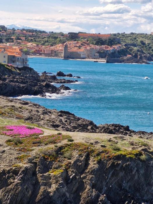 COMME UNE MAISON Clim et Ventilateurs aux pieds du port et des plages et 2km COLLIOURE