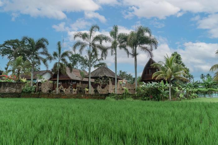 Umadesa Villa Tegallalang Ubud