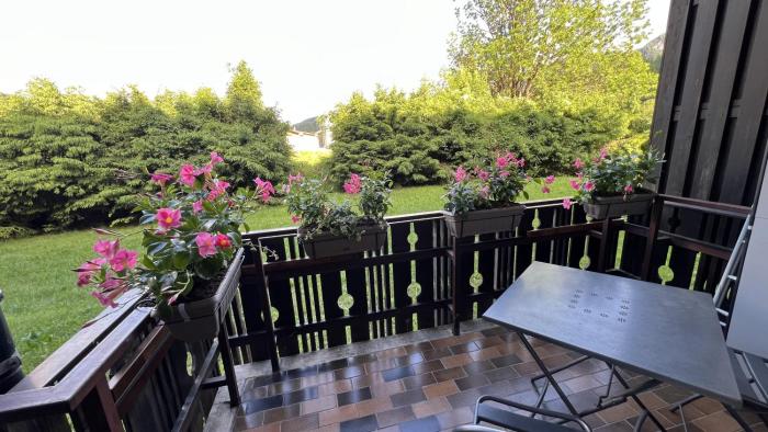 Ski & Bike Central Apartment