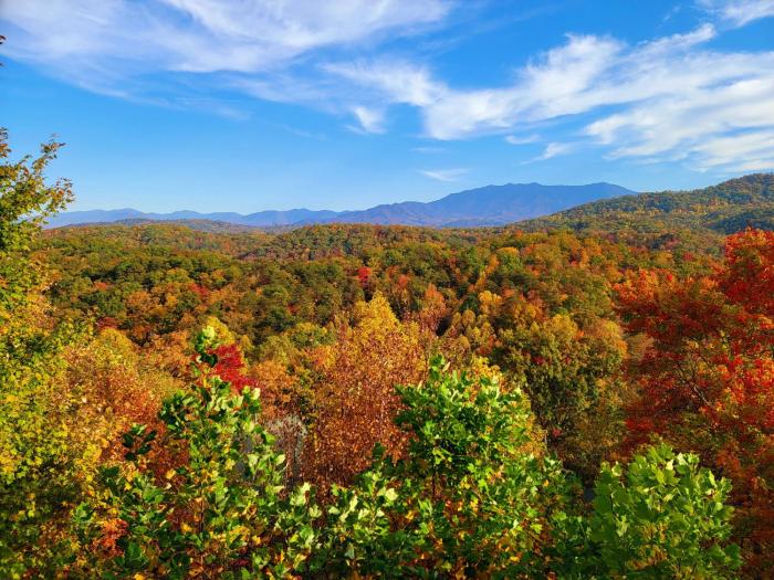 Smoky View Cabin by Venture Smoky Mountains