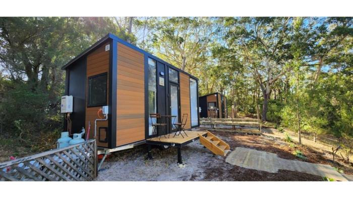 Sunset Vine at Wonganella Estate 2 by Tiny Away